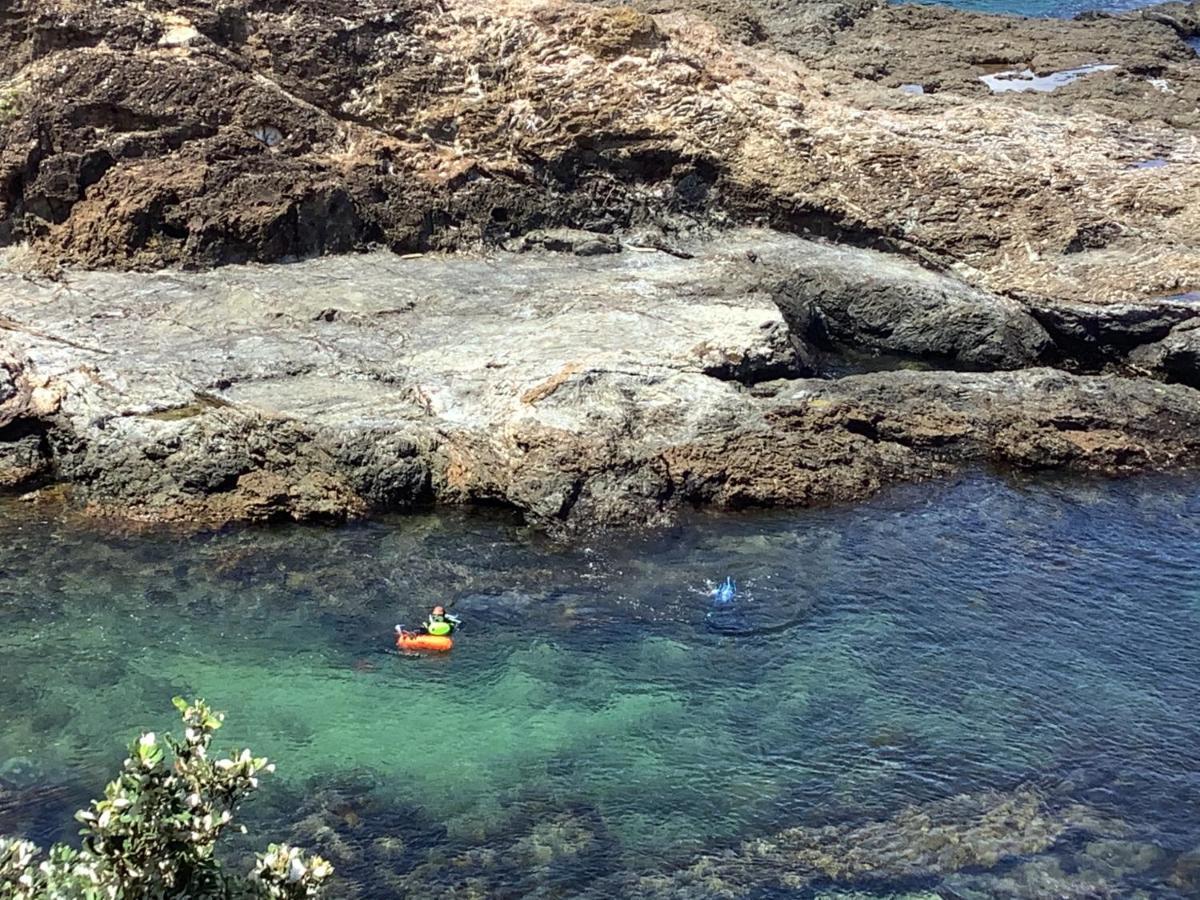 Chasing George Villa Port Macquarie Esterno foto